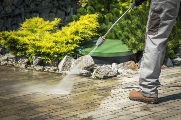 Best Driveway Pressure Washing  in Williamston, SC