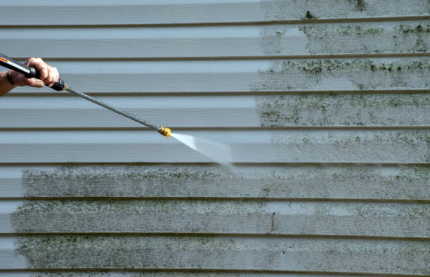 Best Patio and Deck Pressure Washing  in Williamston, SC